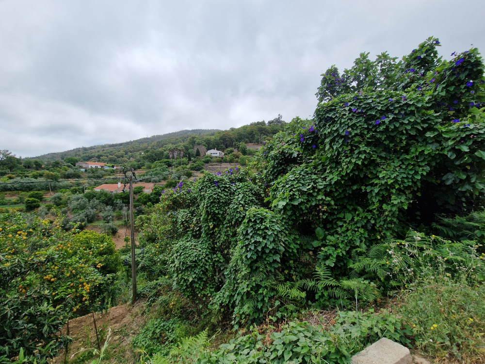 Terreno com Casa para Recuperar - Malhada Quente, Monchique