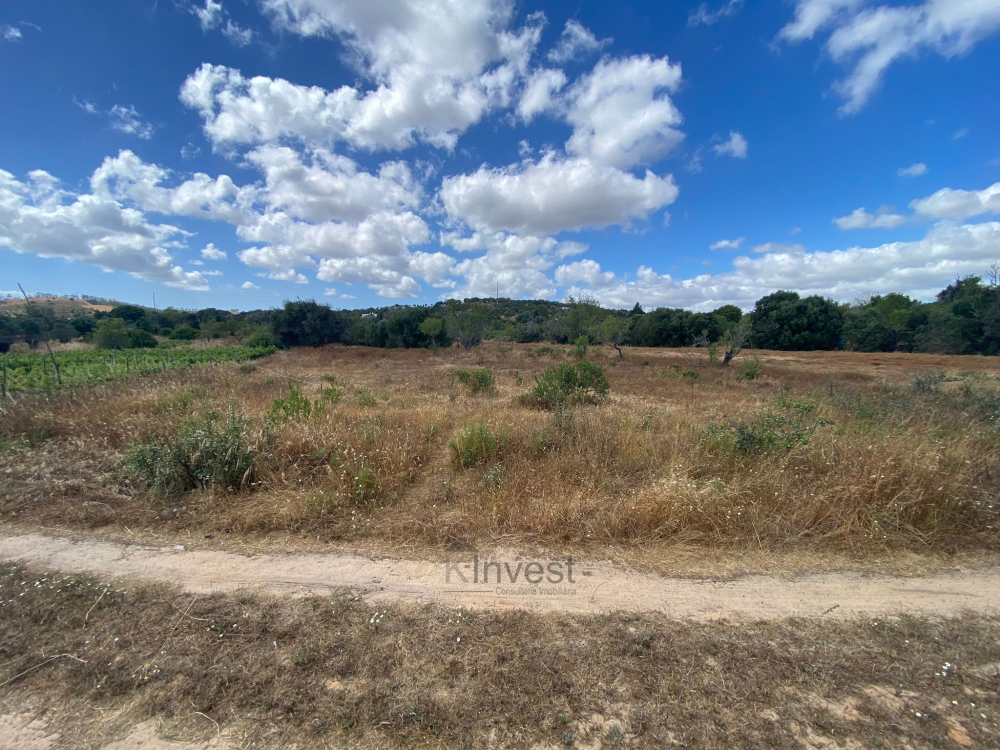 Terreno Misto com Ruína -  Barão de São Miguel, Vila do Bispo