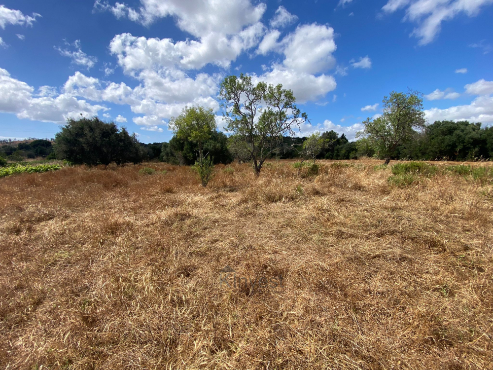 Terreno Misto com Ruína -  Barão de São Miguel, Vila do Bispo