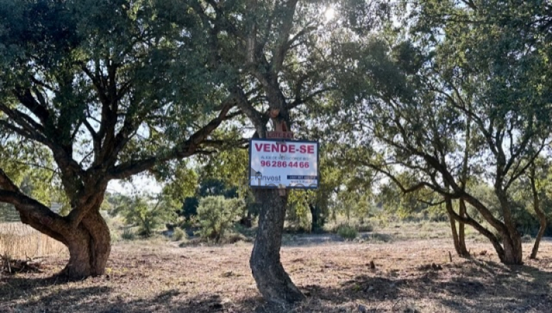 Lote de Terreno urbanizável em S. Romão, Azeitão